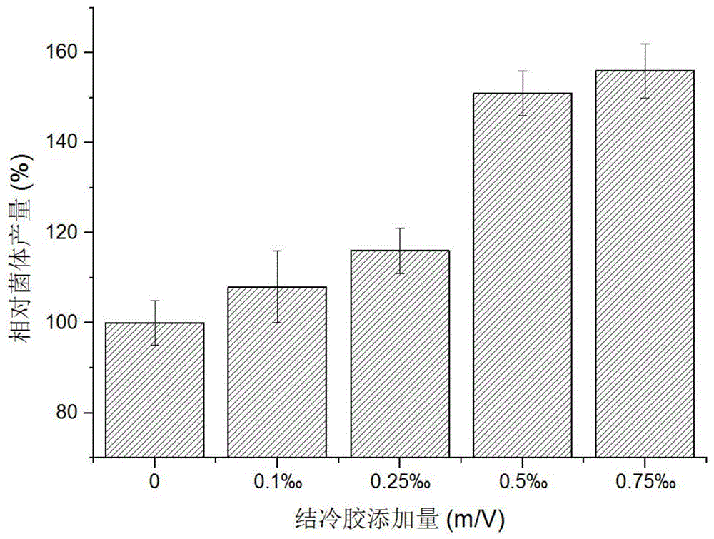 一种嗜热栖热菌光裂合酶及其提取方法与应用与流程