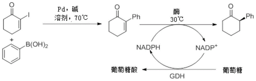 叔α-芳基环酮的制备方法