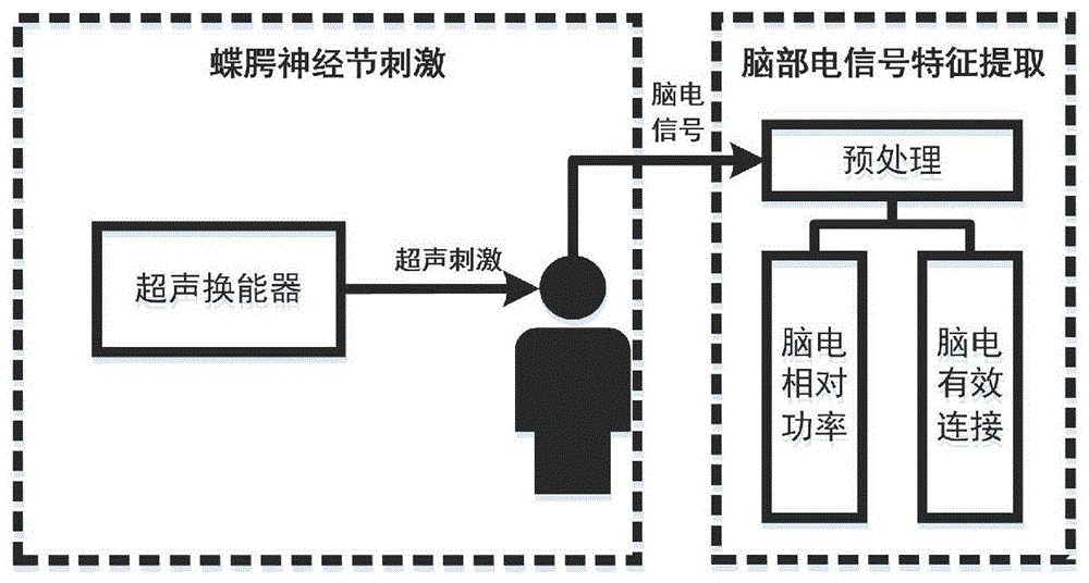 基于蝶腭神经节刺激的脑电信号特征提取方法