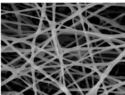 核壳-串晶结构的纳米纤维骨组织工程支架及其制备方法