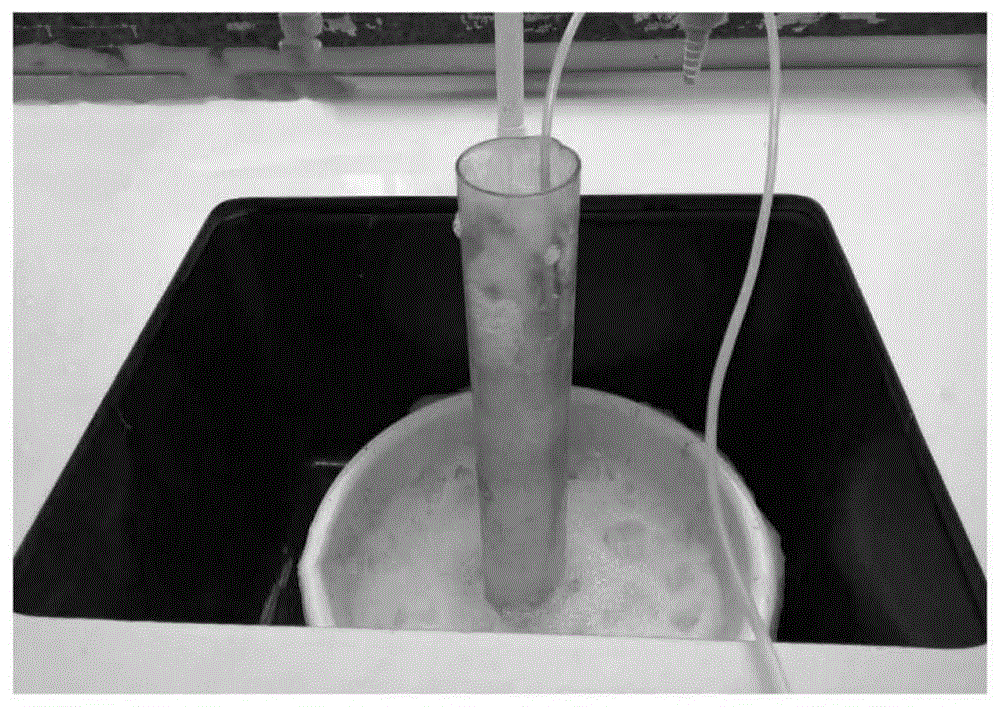 一种微生物泡沫排水剂及其在气井开采中的应用的制作方法