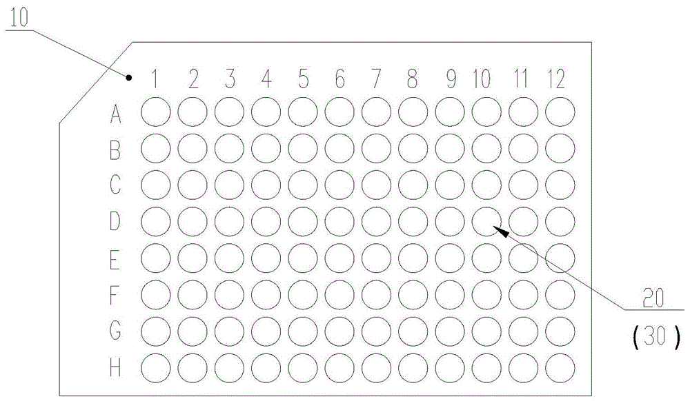 ELISA包被板的制作方法