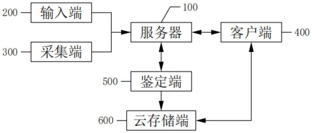 一种移动式艺术品远程鉴定方法及系统