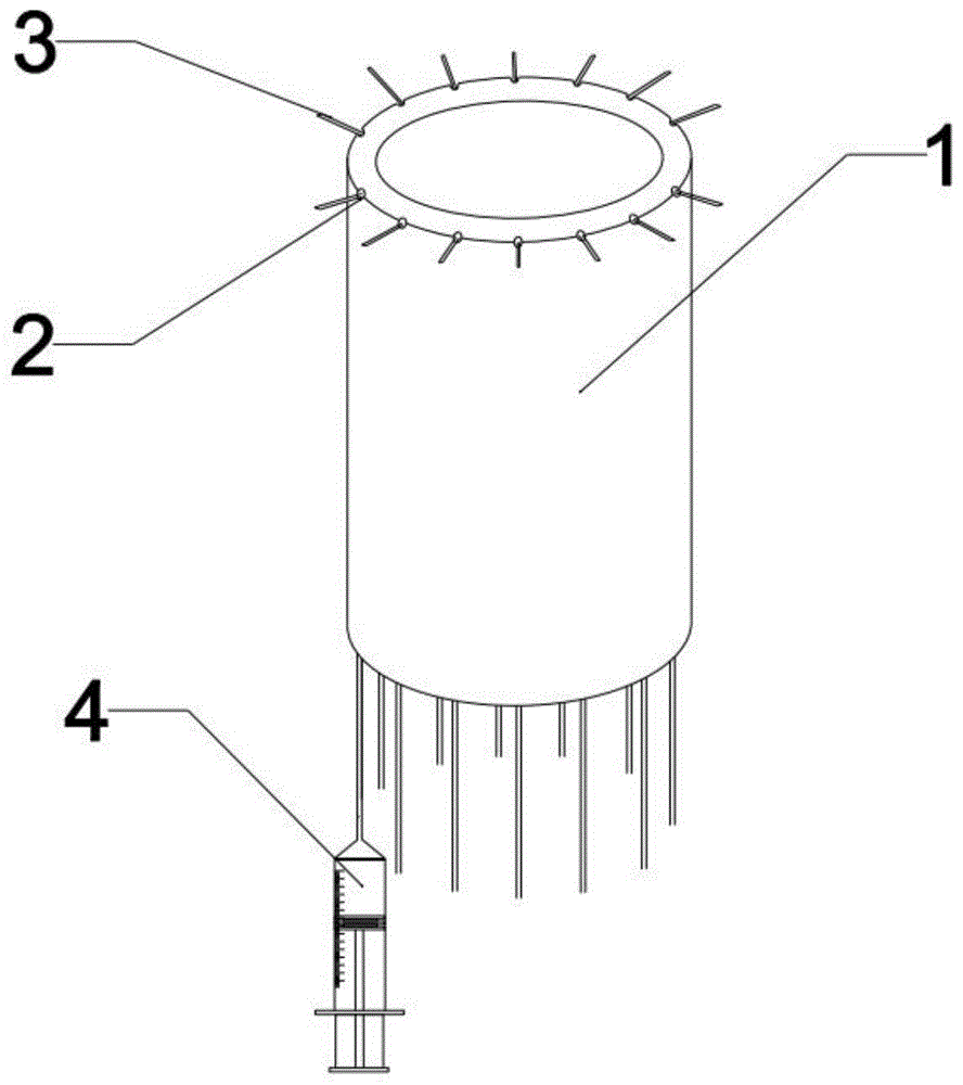 一种直肠肛管的定位支架及含有该定位支架的定位装置的制作方法