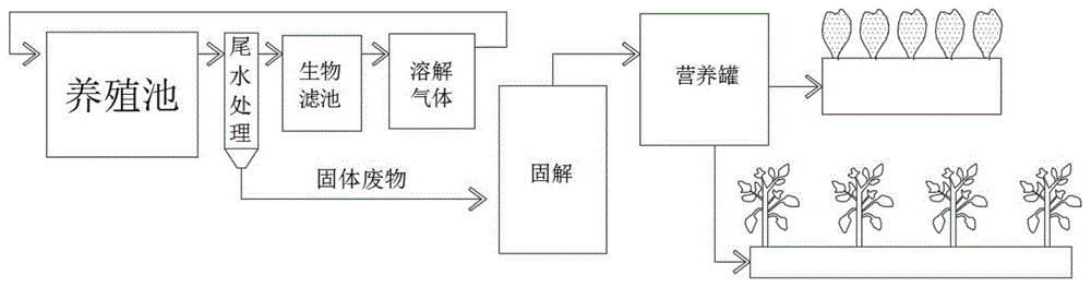 一种基于工厂化循环水养殖的鱼菜共生系统的制作方法