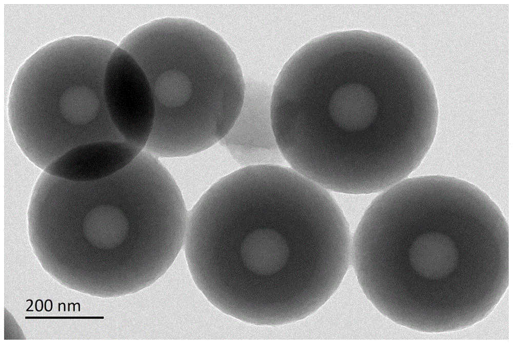 一种具有囊泡型空腔的聚合物微球及其合成方法