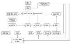 采用增加小分子发生器的制黄精酒工艺的制作方法