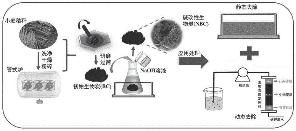 一种碱改性生物炭的制备及其去除污水中新兴污染物的应用