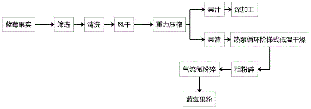 一种富含花青素的蓝莓果粉及其制备方法