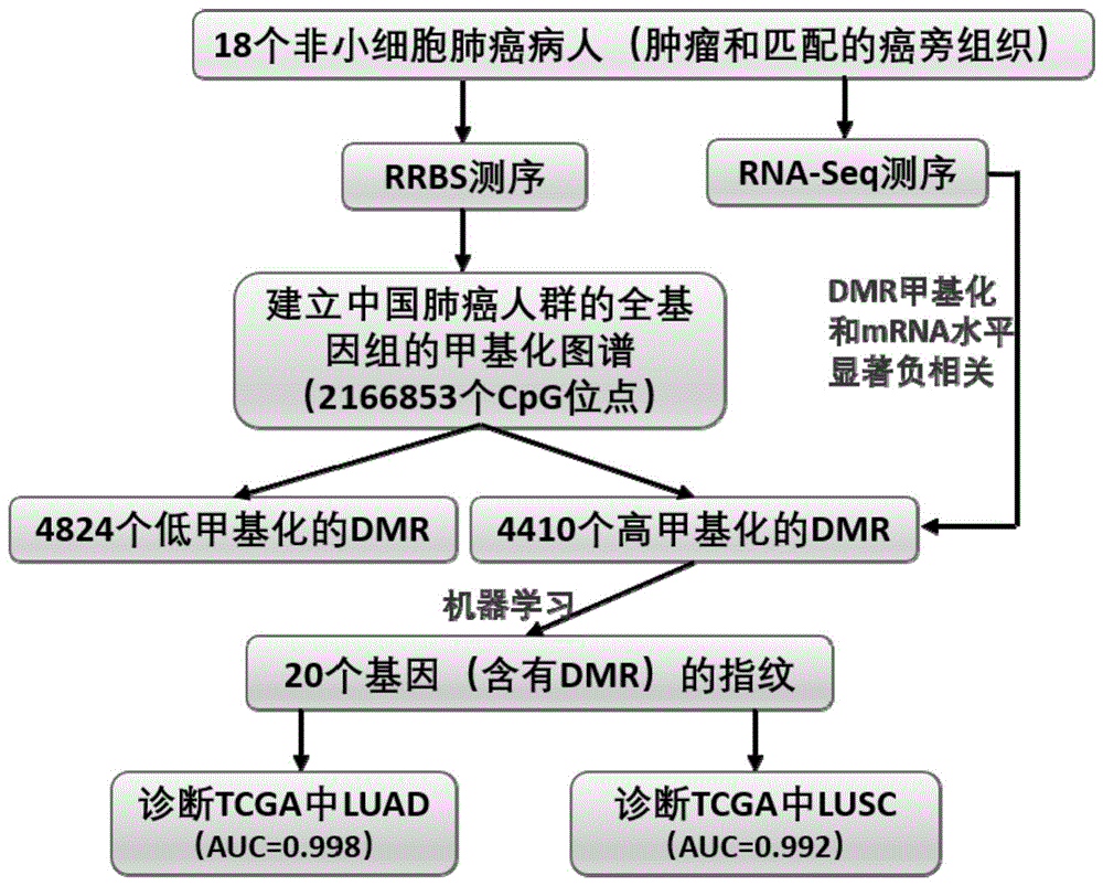 一组肺癌DNA甲基化分子标志物及其在制备用于肺癌早期诊断试剂盒中的应用