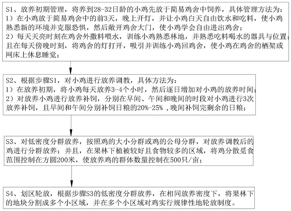 一种果林鸡放养管理方法