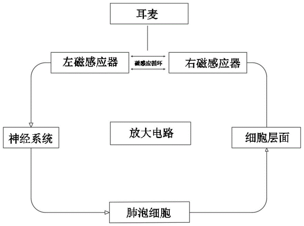 基于整体关联医学逻辑的肺癌术后癌细胞监测仪及使用方法与流程