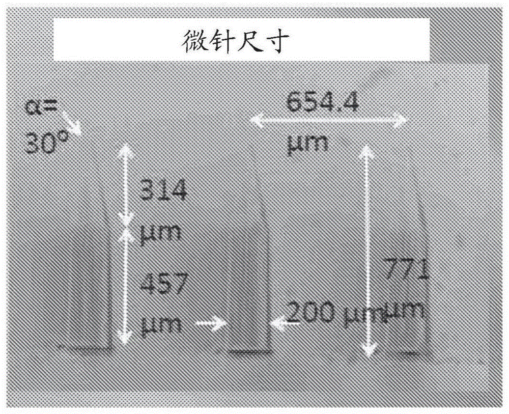 用于经皮插入的尖端负载的微针阵列