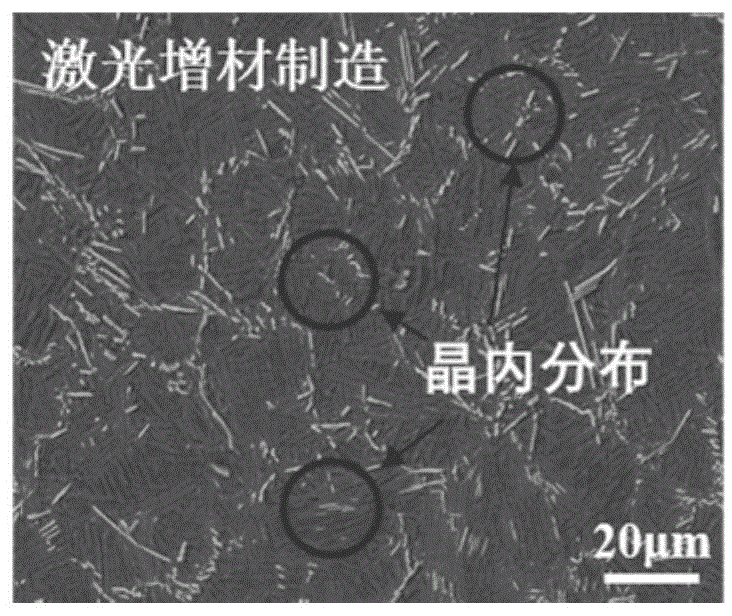 一种颗粒增强钛基复合材料中增强相均匀分布及生长方向主动控制方法