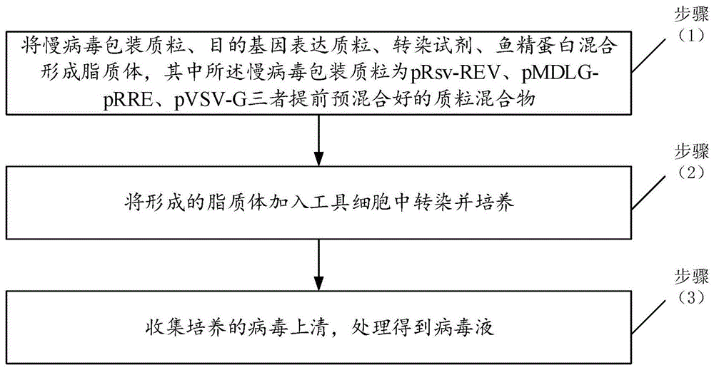 一种快速获得高滴度慢病毒的包装方法与流程