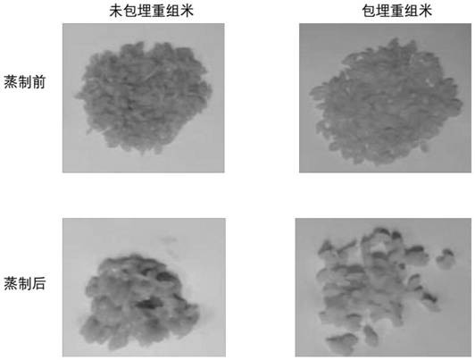 一种预糊化颗粒状食品的防粘连方法