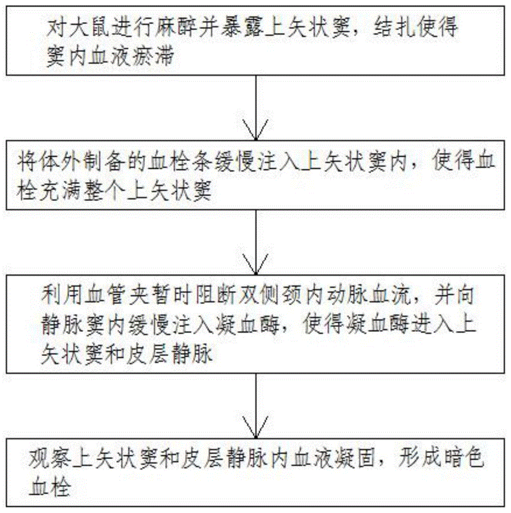 一种重症颅内静脉及静脉窦血栓形成的大鼠模型制备方法与流程