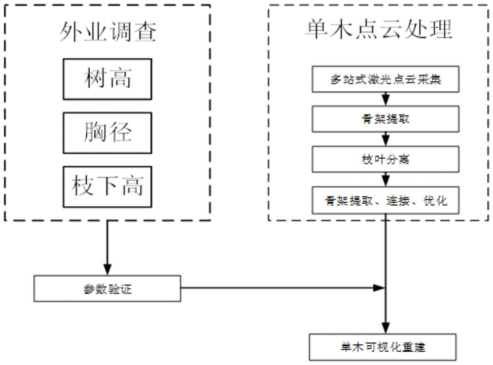 一种基于邻域特征的单木骨架提取及可视化方法与流程