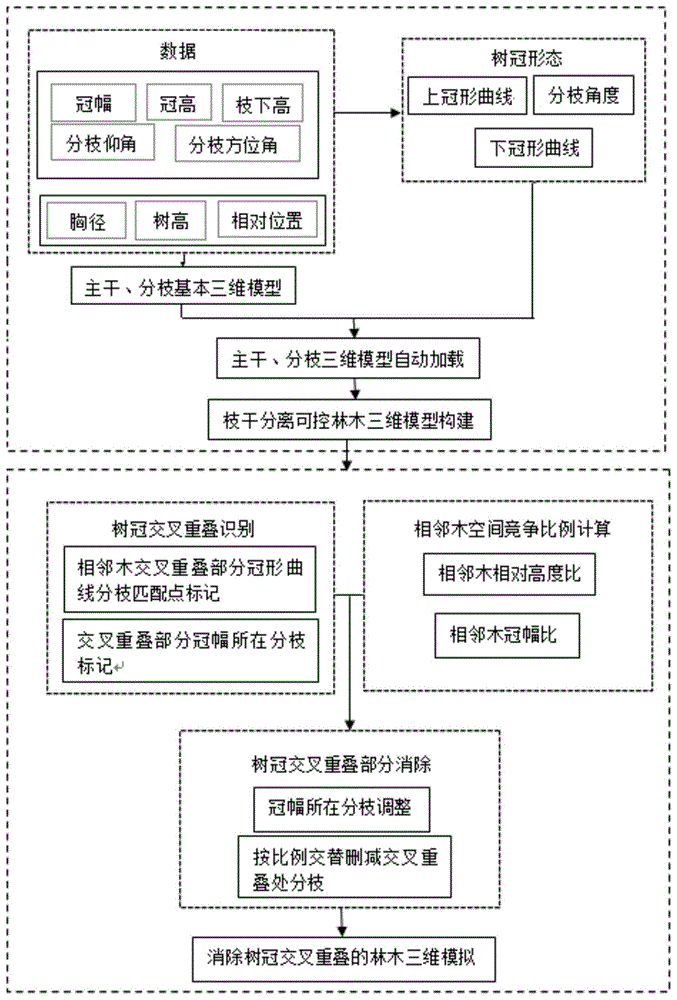 一种解决林分中针叶树三维模型树冠分枝交叉重叠的方法与流程