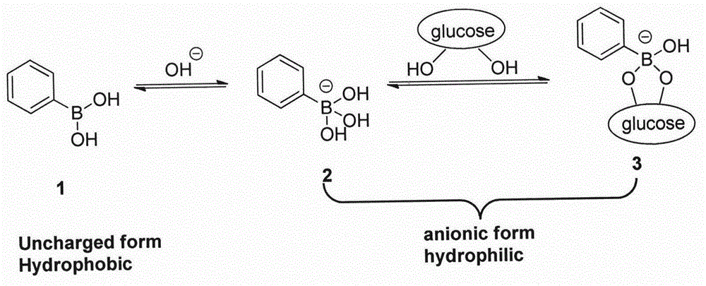 一种葡萄糖敏感的苯硼酸衍生物的合成及表征