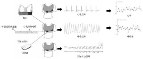 一种基于连续生理数据的个体化状态监测分析方法和设备与流程