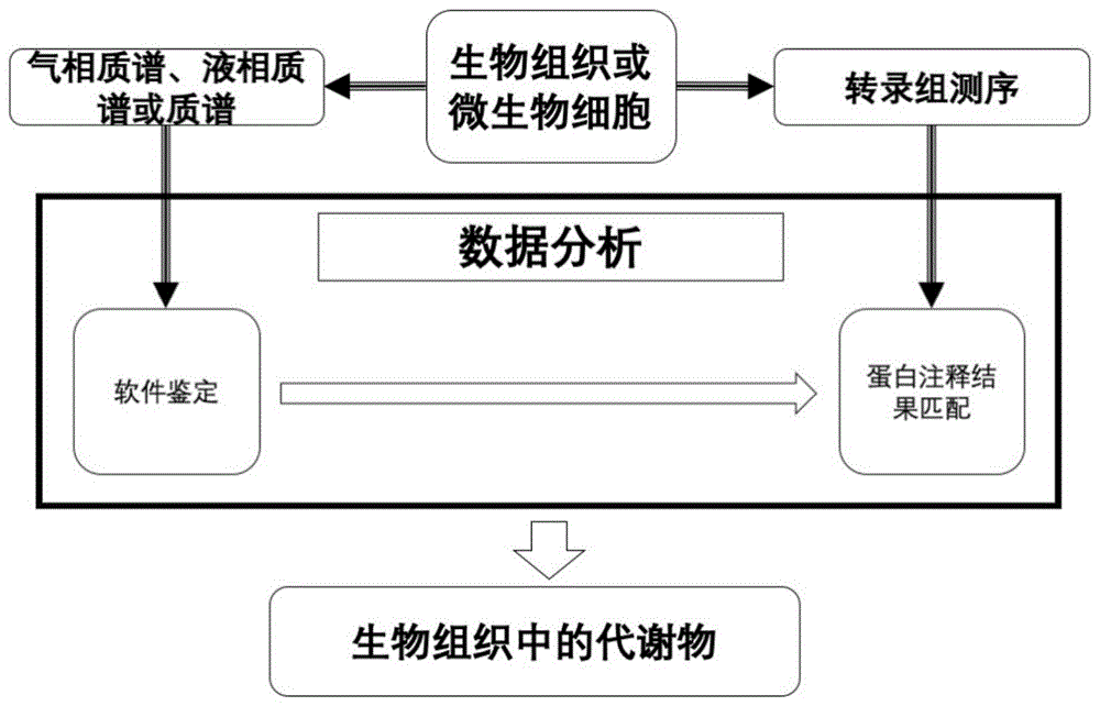 一种生物代谢物筛查方法