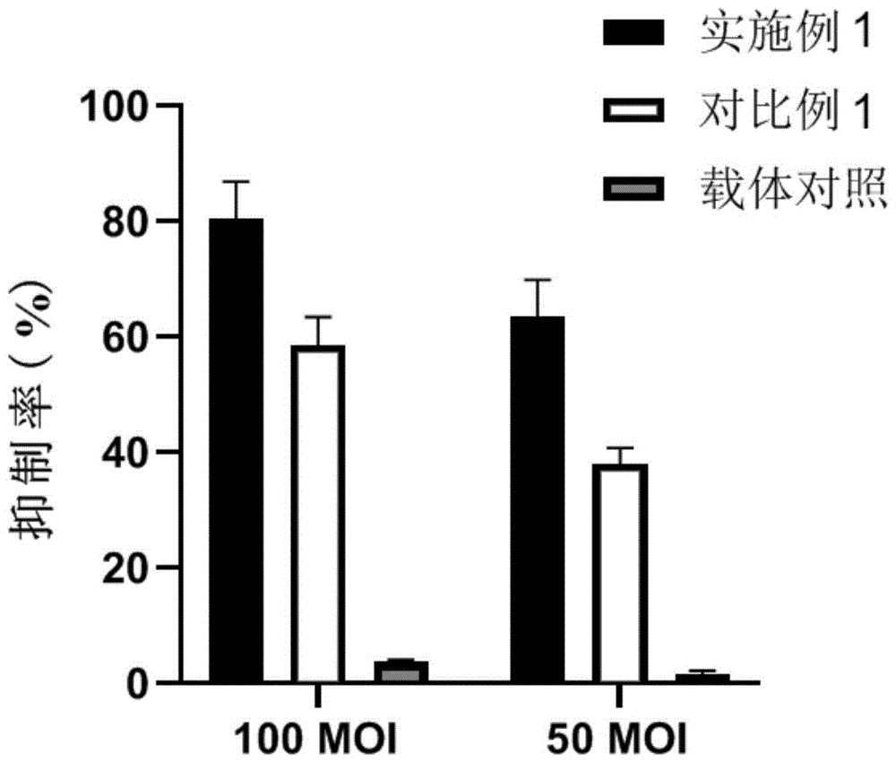 一种人γ-干扰素病毒载体及其应用的制作方法