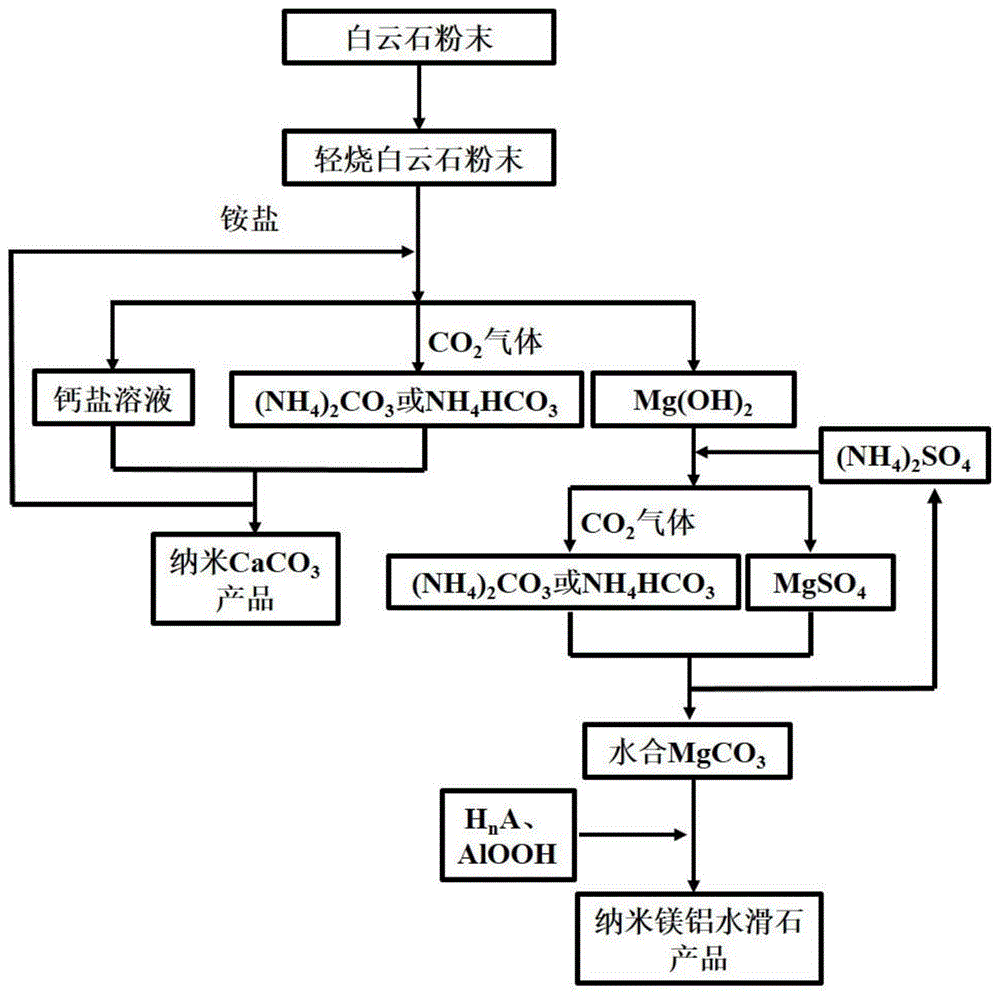 一种利用白云石制备纳米碳酸钙和纳米水滑石的方法