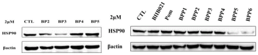 一种靶向降解Hsp90蛋白的化合物及其制备方法与应用