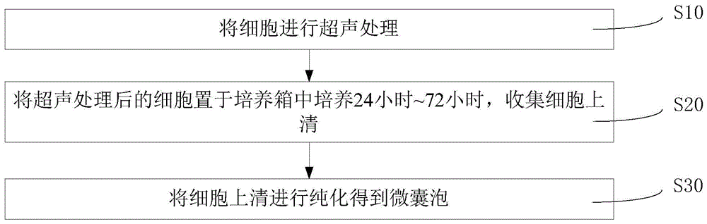 一种微囊泡的生产方法、基于该微囊泡的生产方法得到的微囊泡及其应用