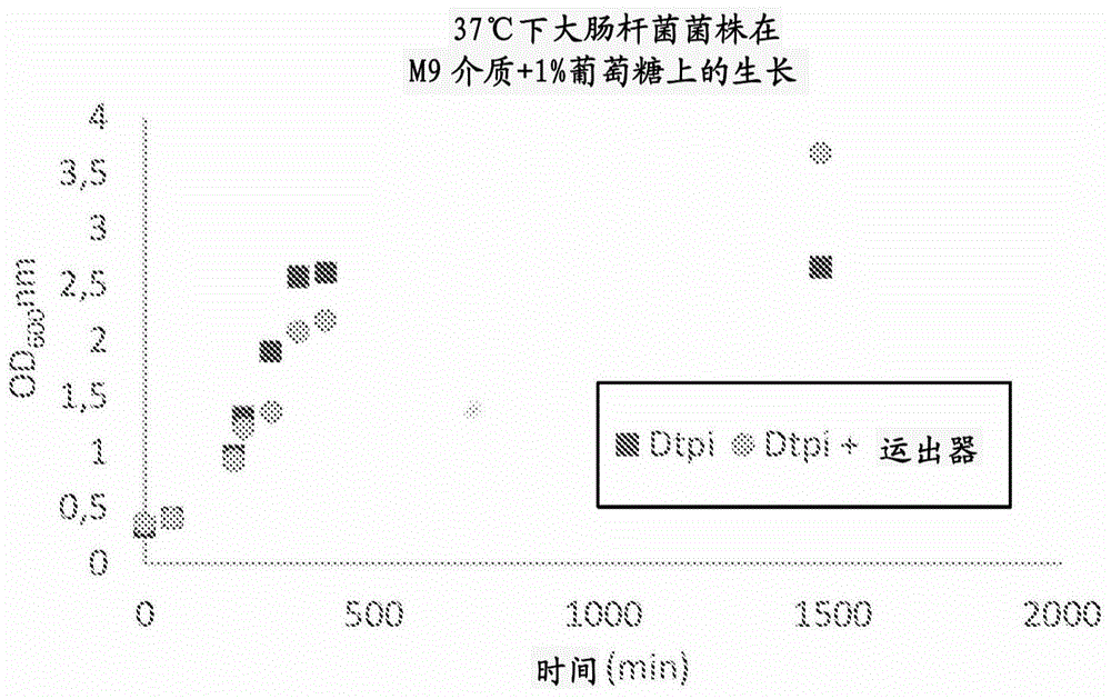 磷酸转位器的制作方法