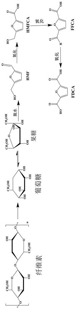 一种糖类化合物一锅两步制备FDCA的方法