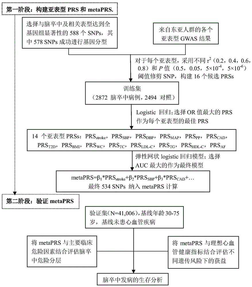 脑卒中多基因遗传风险综合评分的构建方法与装置及应用