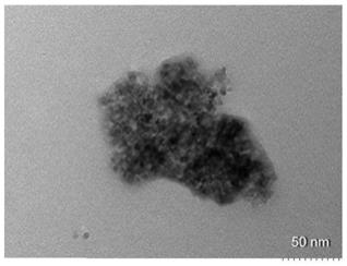 二氧化钛纳米粒子培养基的制备方法