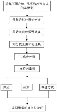 一种羊栖菜产地、品系和养殖方式的近红外光谱识别鉴定模型的建立方法及鉴定方法