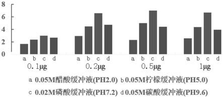 新型冠状病毒的重组S蛋白及其制备方法和应用