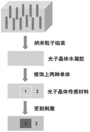 一种高灵敏图案化光子晶体传感材料及其制备与应用