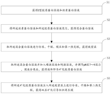 矿化引导组织再生膜及其制备方法与流程