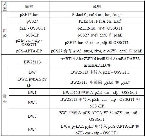 合成水杨苷的工程菌及其构建方法和应用