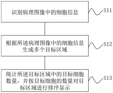 病理图像的显示方法及装置与流程