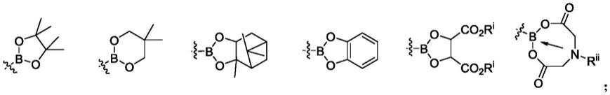 一种手性N-Boc-吡咯烷-3-硼酸类化合物的制备方法与流程