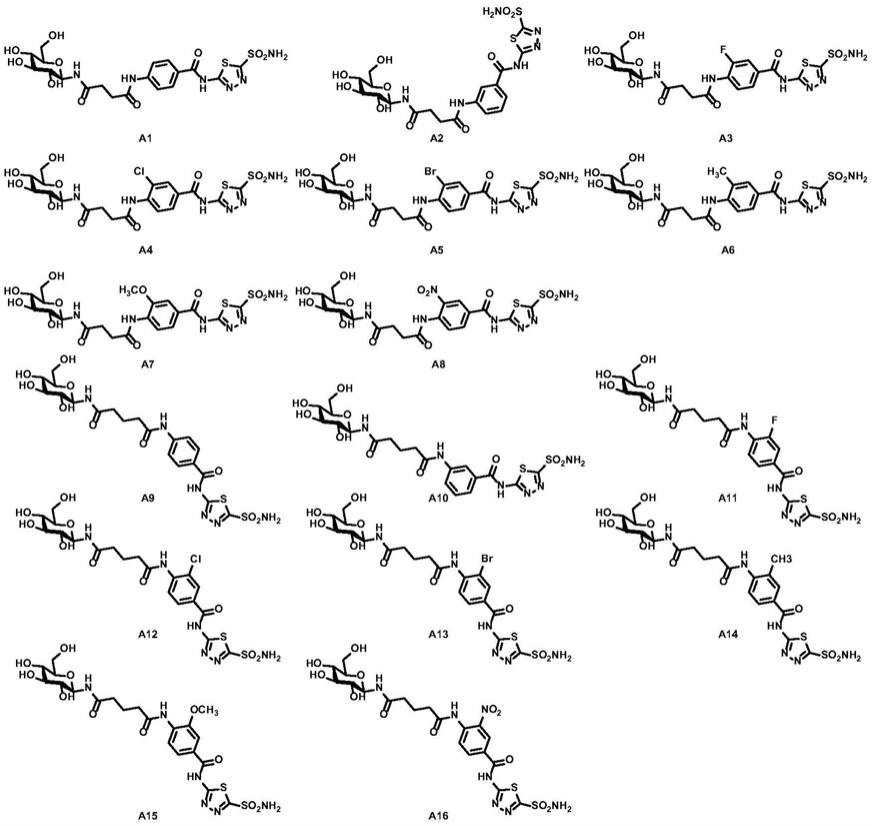 N-芳基磺胺-N-β-D-吡喃葡萄糖二酰胺类化合物及其用途