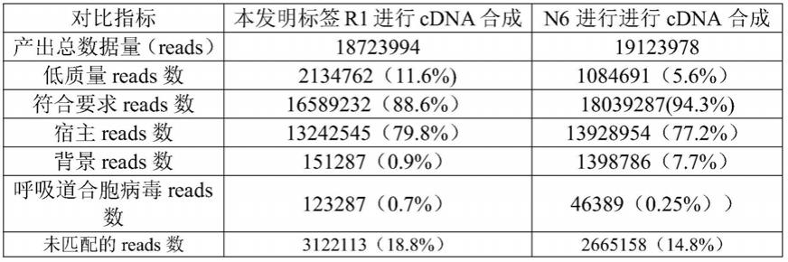 一种RNA测序文库的构建方法及其应用与流程