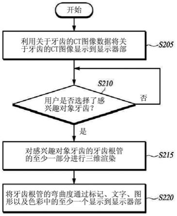 对牙齿根管的弯曲度进行三维可视化的方法与流程