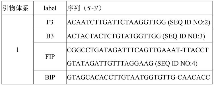 一种快速检测新型冠状病毒N501Y突变的引物组合物及试剂盒