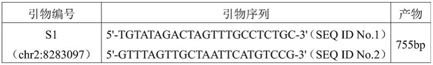 一种与绵羊产羔数相关的SNP遗传标记及其应用