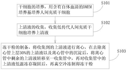 一种人间充质干细胞培养上清液冻干粉的制备及复苏方法与流程