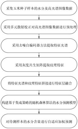 一种基于近红外高光谱的单粒玉米种子水分含量检测方法与流程