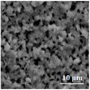 二氧化钛中间层修饰陶瓷基TFN正渗透膜的方法及其应用