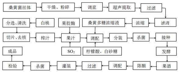 一种白桃桑黄酒的制备方法